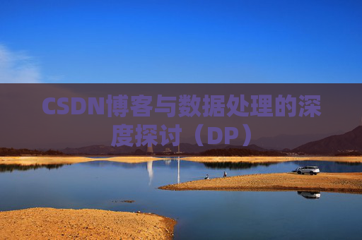 CSDN博客与数据处理的深度探讨（DP）